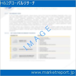 市場と産業調査レポートのイメージ